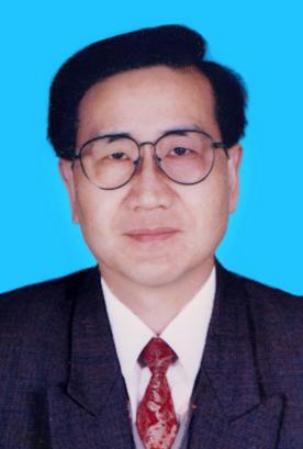 杨欢进